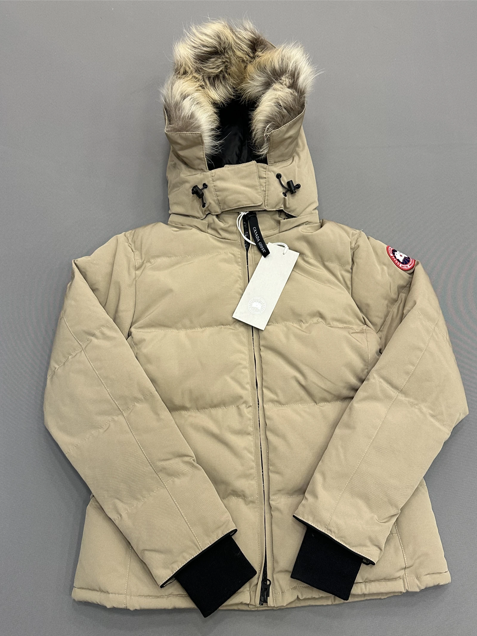 GAZELLE PORT 1050259