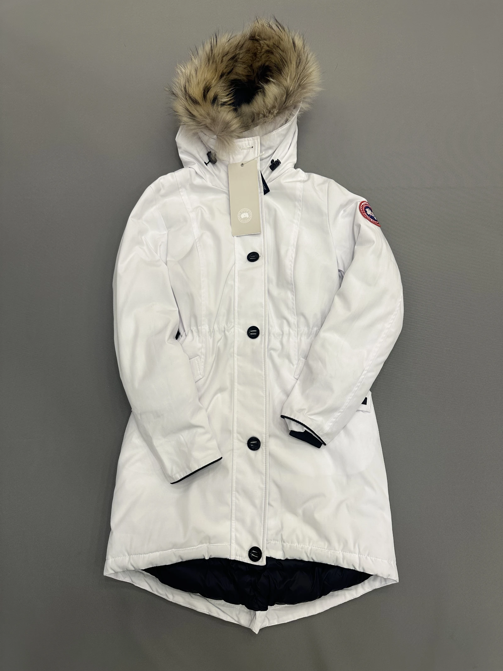 GAZELLE PORT 1050281